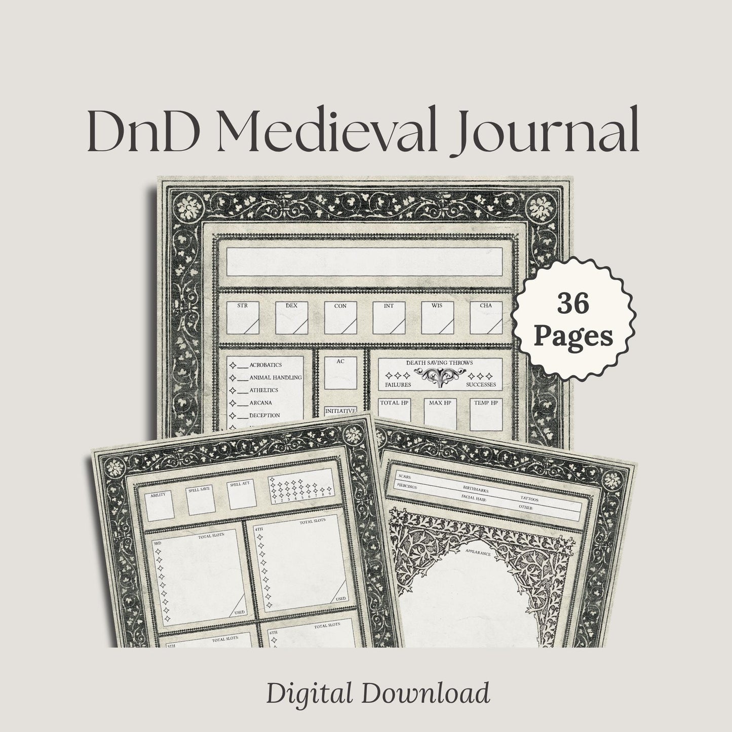 Medieval DnD Character Sheet