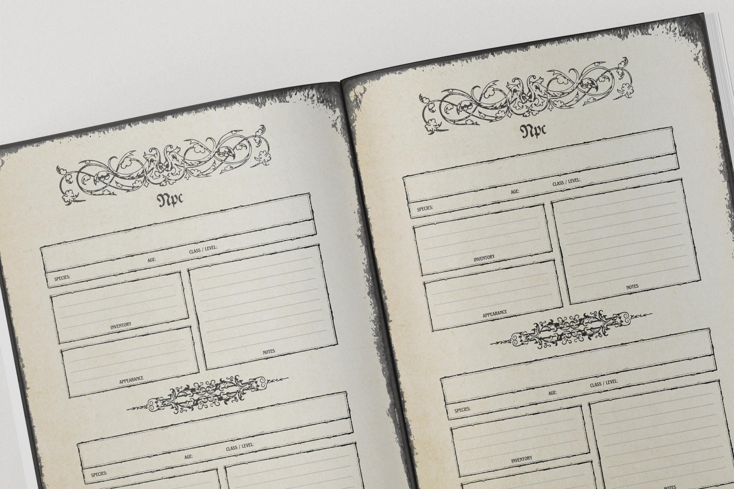 Gothic DnD Worldbuilding Journal 8.5x11"